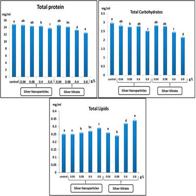 Silver-Nanoparticle- and Silver-Nitrate-Induced Antioxidant Disbalance, Molecular Damage, and Histochemical Change on the Land Slug (Lehmannia nyctelia) Using Multibiomarkers